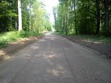droga leśna - Suśnik