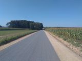 Droga nr 104378B w gminie Kolno